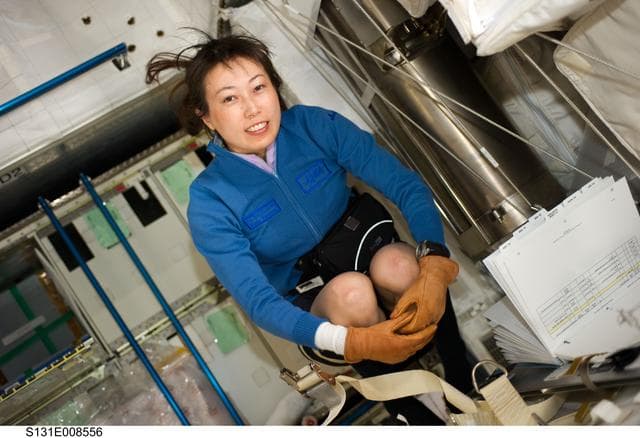 NASA image: Yamazaki in MPLM