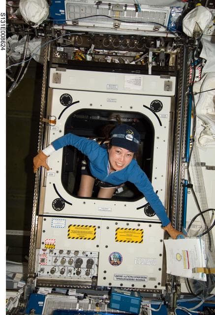 NASA image: WORF Prep and Transfer OPS