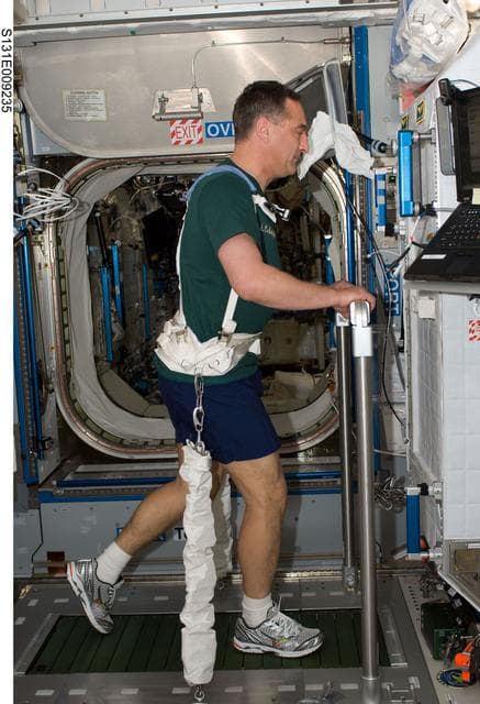 NASA image: Skvortsov on TVIS