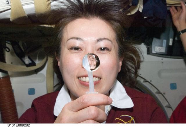 NASA image: Yamazaki and water bubble