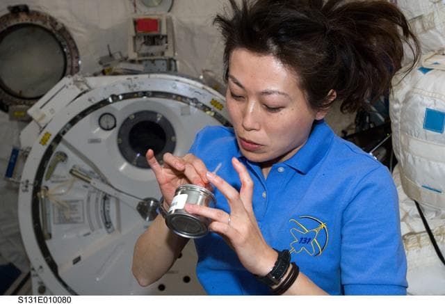 NASA image: Yamazaki eats in JEM