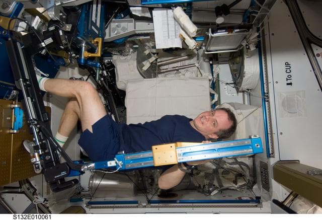 NASA image: Creamer exercises on the ARED in the Node 3 during Joint Operations