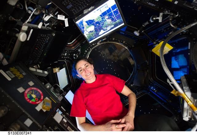 NASA image: Stott in Cupola