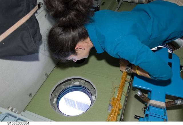 NASA image: Stott in Service Module