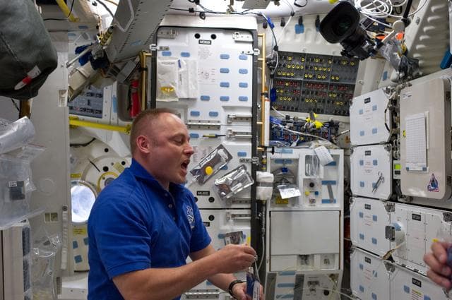 NASA image: View of STS-134 MS Fincke on the Middeck