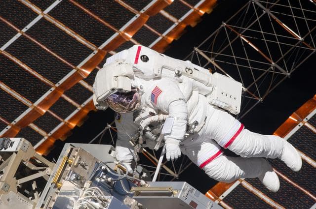 NASA image: View of STS-134 MS Feustel during EVA-1