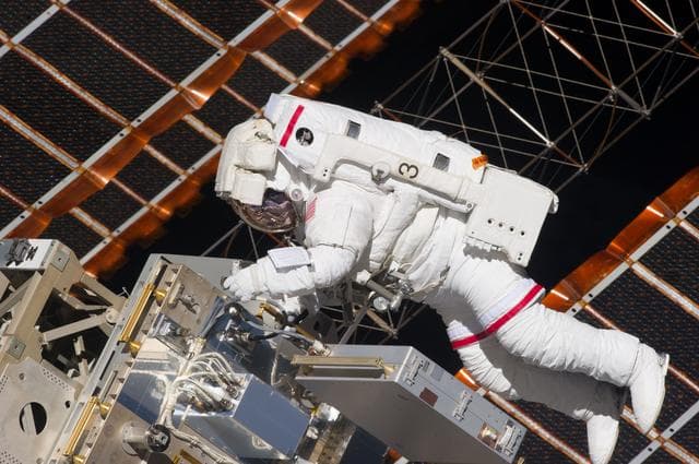 NASA image: View of STS-134 MS Feustel during EVA-1