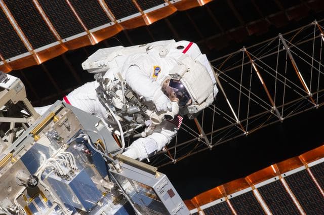 NASA image: View of STS-134 MS Feustel during EVA-1