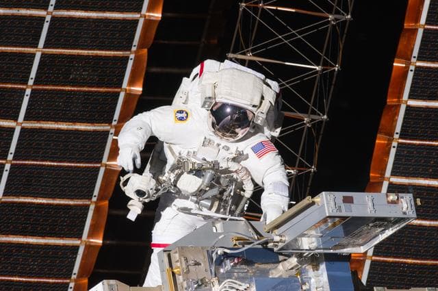 NASA image: View of STS-134 MS Feustel during EVA-1