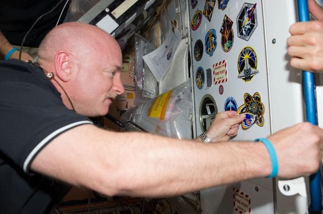 NASA image: STS-134 Crew Members add Mission Sticker to Node 1 Panel