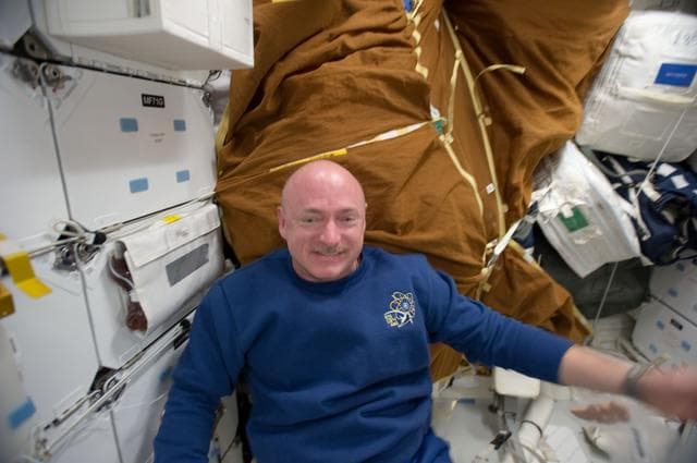 NASA image: View of STS-134 Commander Kelly on the Middeck