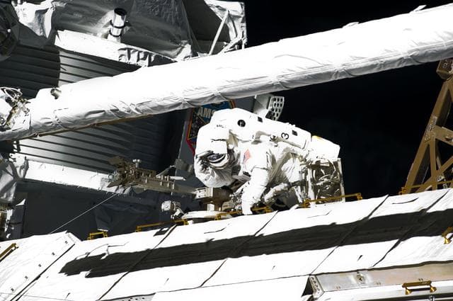 NASA image: View of STS-134 MS Fincke during EVA-4