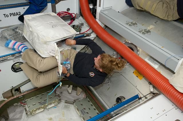 NASA image: Magnus Configures Raffaello for Ingress