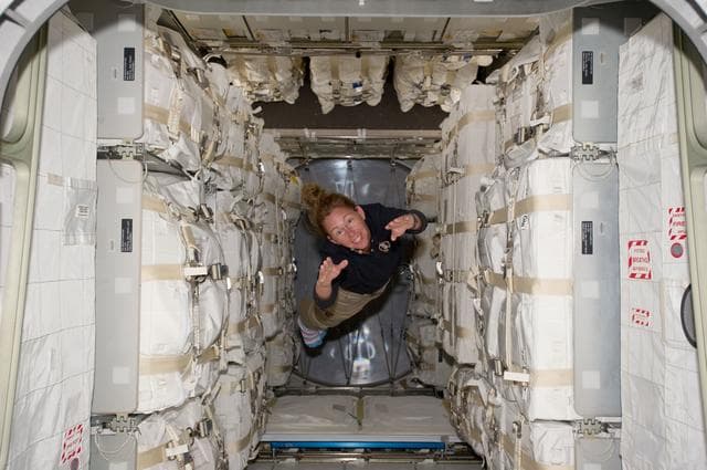 NASA image: Magnus in Raffaello