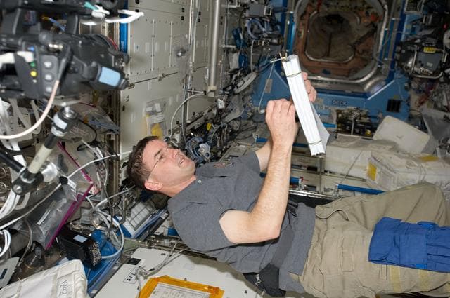 NASA image: Walheim in US Lab