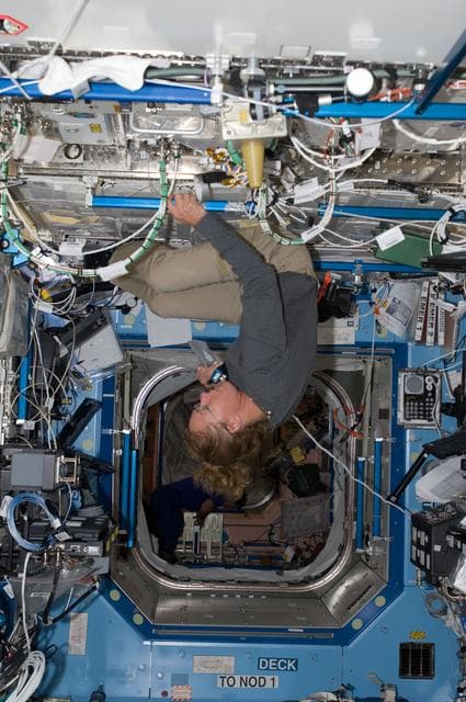 NASA image: Magnus in US Lab