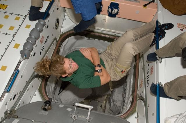 NASA image: Magnus in Node 1