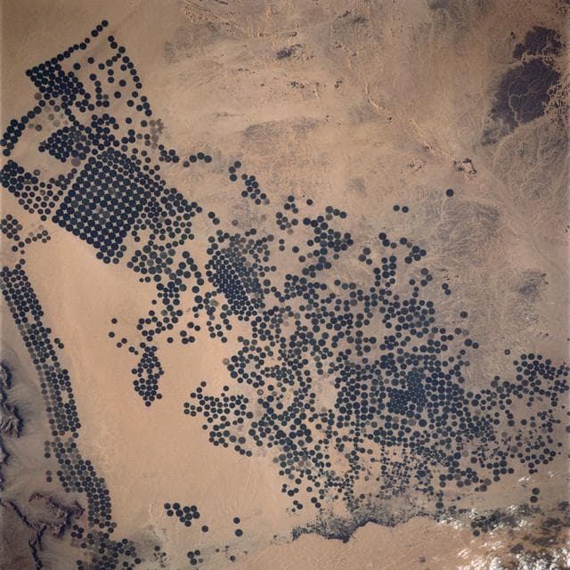 NASA image: Irrigated Agriculture, Saudi Arabia