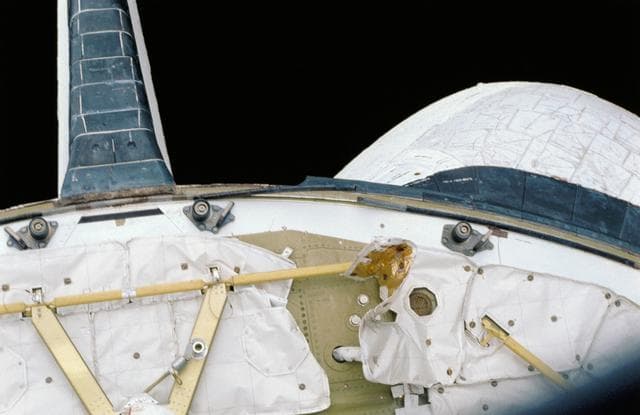 NASA image: STS-40 Columbia, OV-102, payload bay aft firewall and thermal insulation
