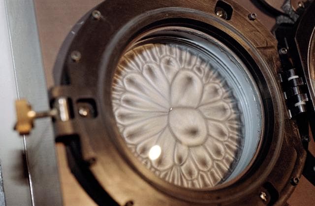 NASA image: STS-42 closeup view shows SE 81-09 Convection in Zero Gravity experiment