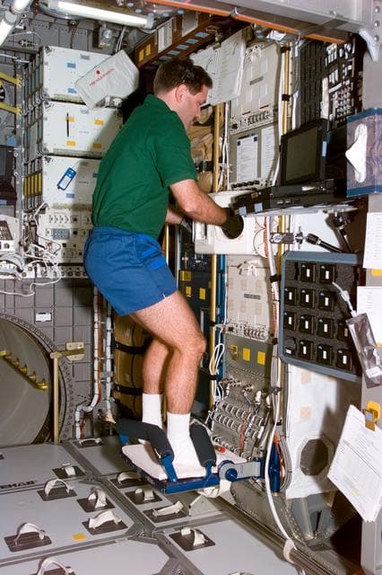 NASA image: Biorack - glovebox