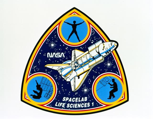 NASA image: STS-1 - INSIGNIAS