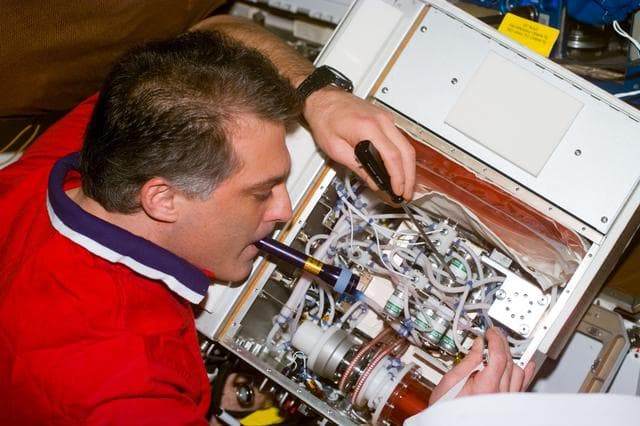 NASA image: Wolf on Endeavour with hardware