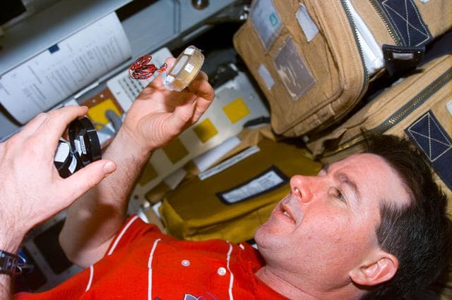 NASA image: Robinson with experiment in Spacehab