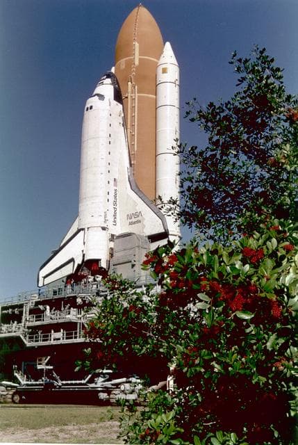 NASA image: STS-81 preflight photos taken at the Kennedy Space Center