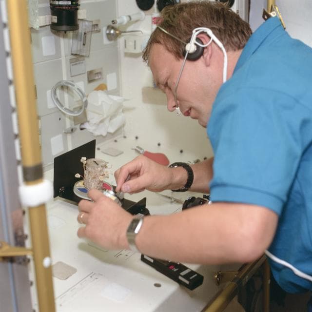 NASA image: STS-55 Payload Specialist Schlegel collects fungi sample at SL-D2 Rack 1