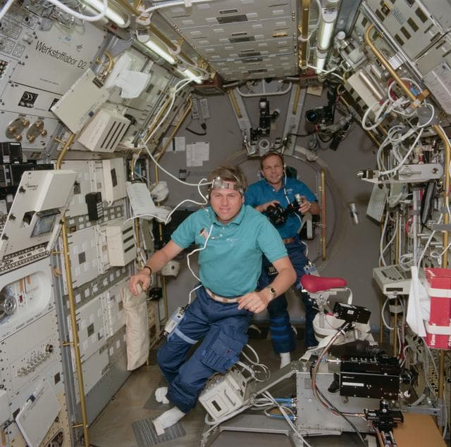 NASA image: STS-55 German payload specialists Walter and Schlegel work in SL-D2 module