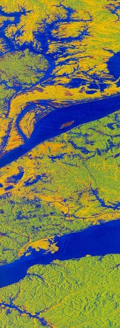 NASA image: False-color L-band image of Manaus region of Brazil