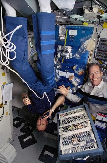 NASA image: Astronauts Brian Duffy and Dan Barry team up to prepare a meal