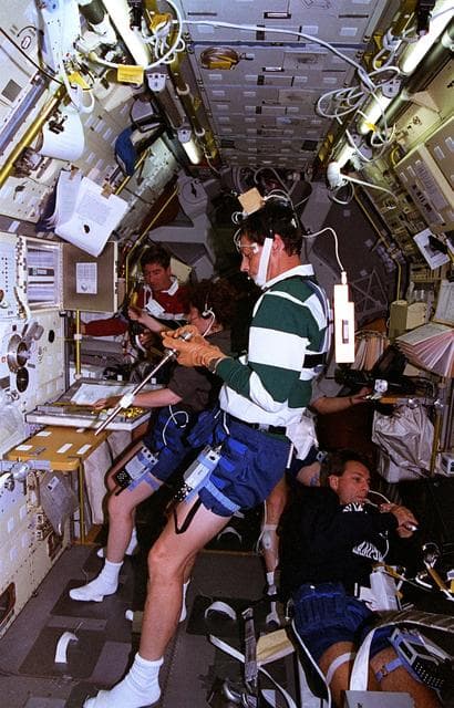 NASA image: AGHF, TRE and TVD experiment activity in the Spacelab during LMS-1 mission