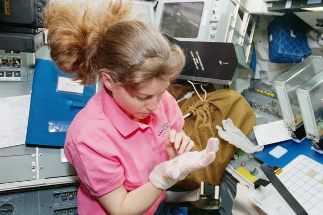 NASA image: STS-93 MS Coleman works with a seedling from the PGIM-1 experiment