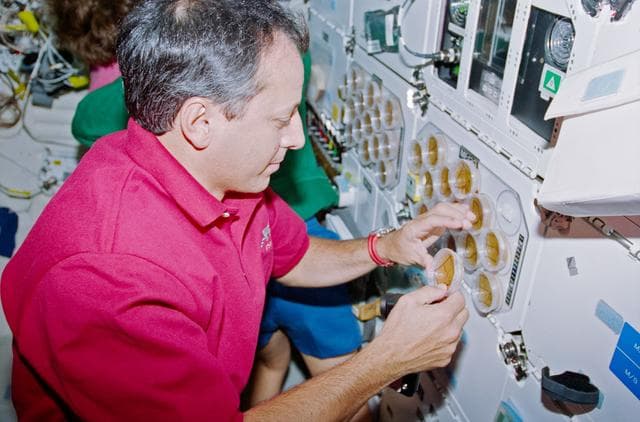 NASA image: STS-93 MS Tognini checks the BRIC experiment petri dishes on the middeck
