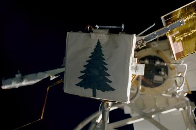 NASA image: The Floating Potential Probe (FPP) taken during the third EVA of STS-97