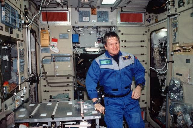 Shepherd in the Service module