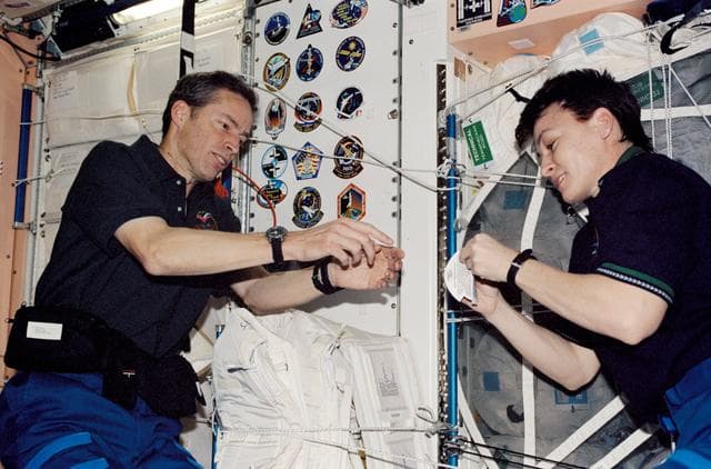 NASA image: Wetherbee and Whitson prepare to place mission stickers on Node 1 panel during STS-113 / EXP 5