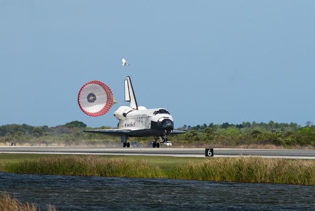 NASA image: sts133-s-124