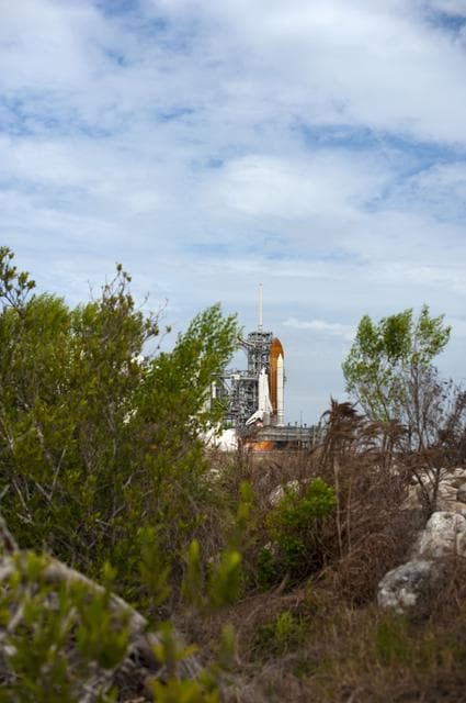 NASA image: The Final Launch of STS-135 Atlantis