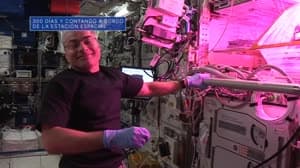 NASA image: Recientemente: Un hito para un astronauta de la NASA - 04/02/22