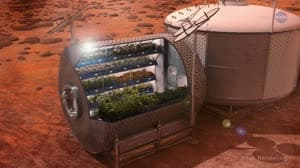 NASA image: ScienceCasts: Space Gardening