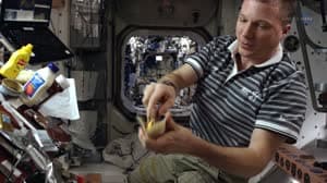 NASA image: NASA ScienceCasts: A Successful Mission Starts With Nutrition