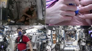 NASA image: NASA ScienceCasts: The CIPHER Project
