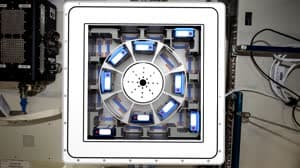 NASA image: Biomining in Space