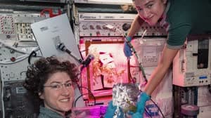 NASA image: Christina Koch: Space Station Scientist
