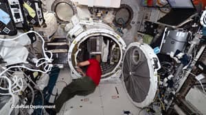 NASA image: NASA's SpaceX Crew-8: Science, Innovation, and Discovery