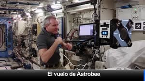 NASA image: Espacio a Tierra: Cuidando la colmena: 21 de junio de 2019