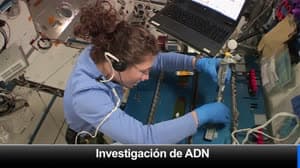 NASA image: Espacio a Tierra: De vuelta en Tierra Firme: 28 de junio de 2019